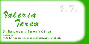 valeria terem business card